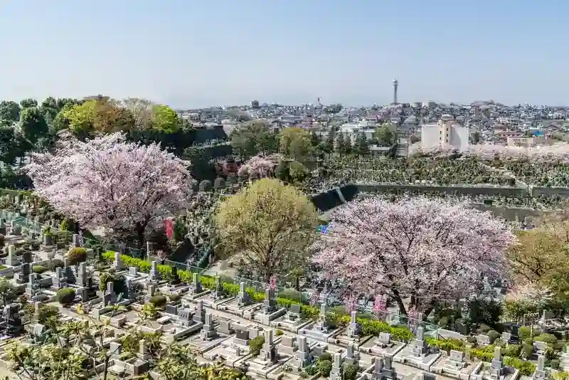 春秋苑に咲く満開の桜