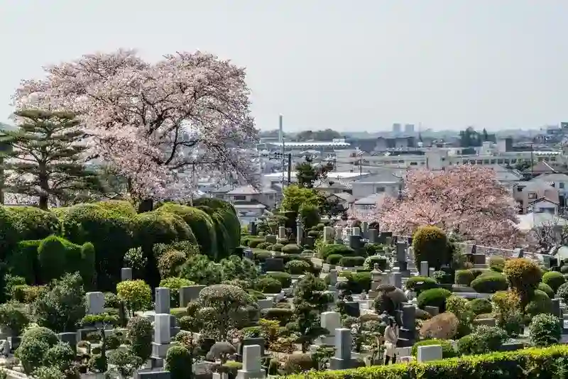 整えられた木々と桜が美しい霊園