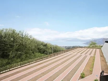墓域①