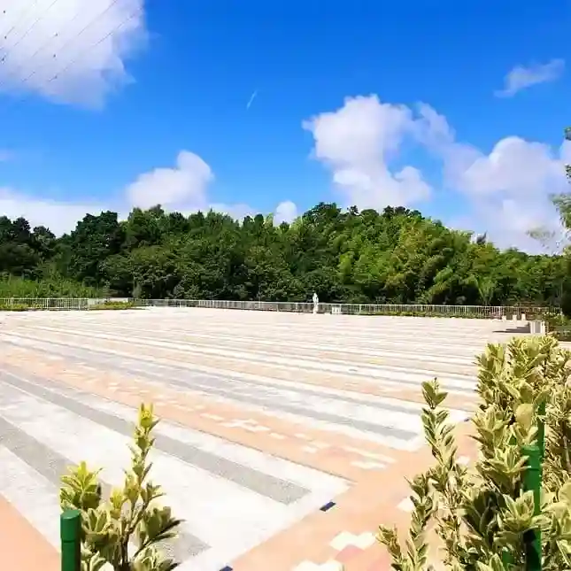 墓域