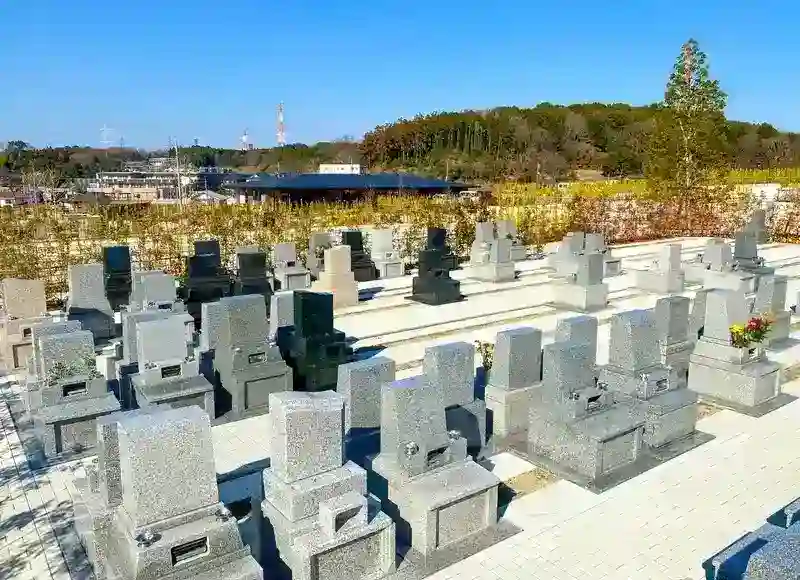 清潔な墓地エリア