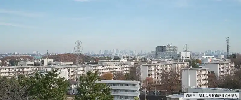 青蓮堂　屋上から新宿副都心が望める