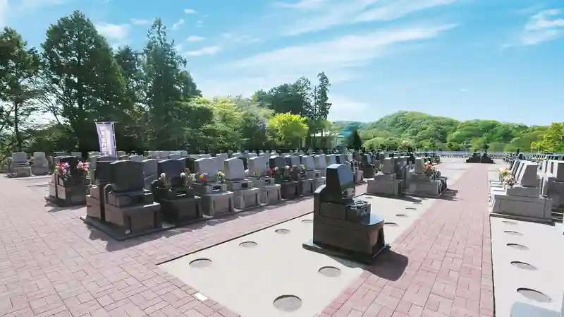 区域