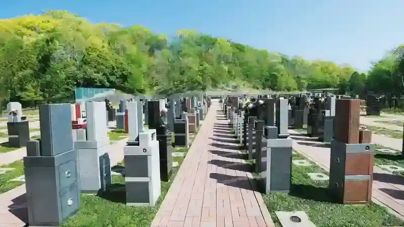 未来区
