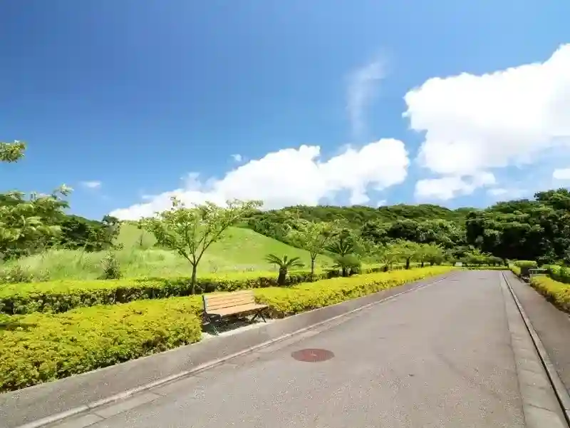 園内道路