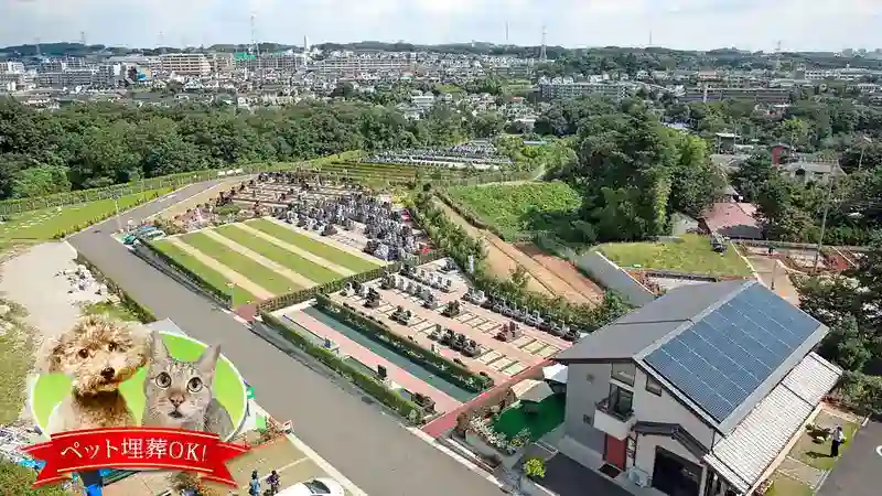 全景