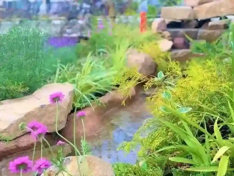 清風ガーデンビオトープ