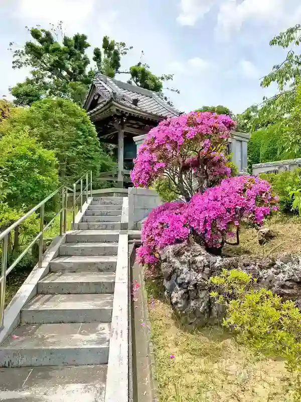 境内風景②