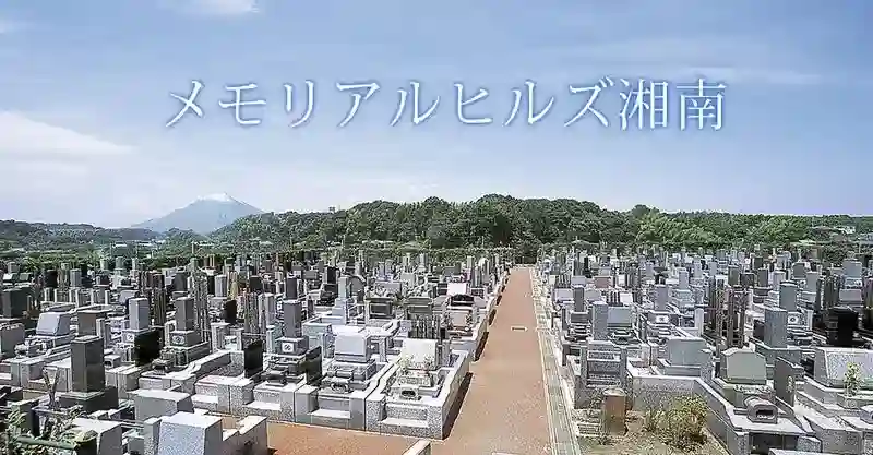 全景