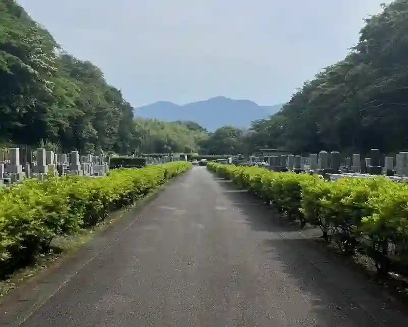 平坦な参道