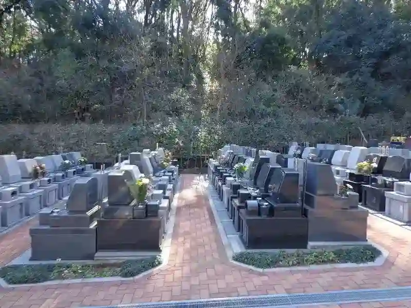 墓地2