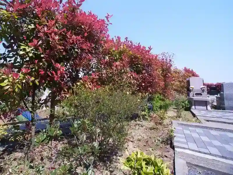園内には綺麗な草木があります