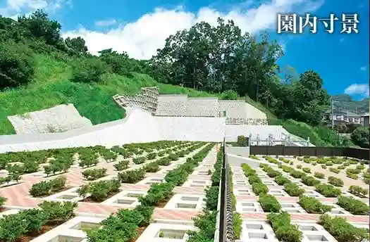 墓地全景