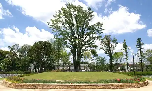 合葬式樹木型納骨施設