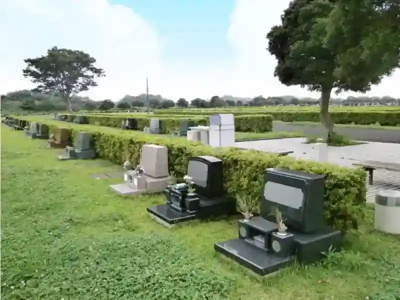 墓域③