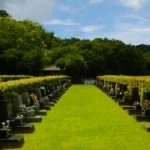 墓域⑦