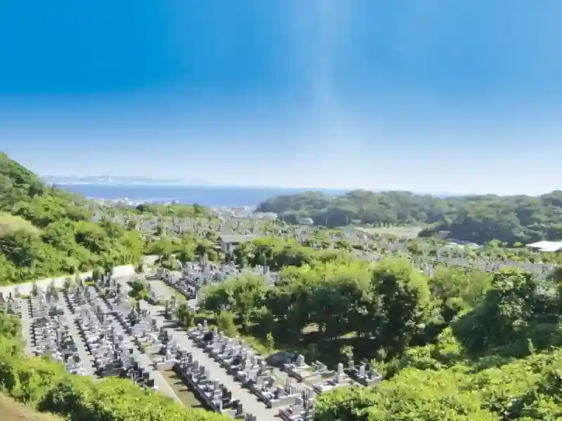 全景