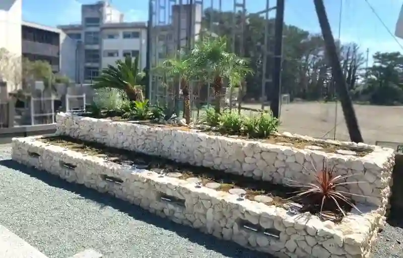 墓地全景