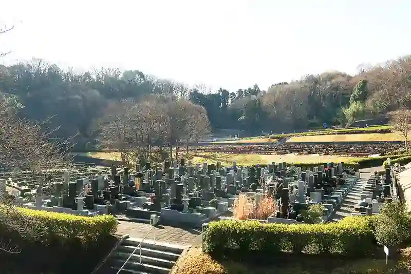 墓地全景
