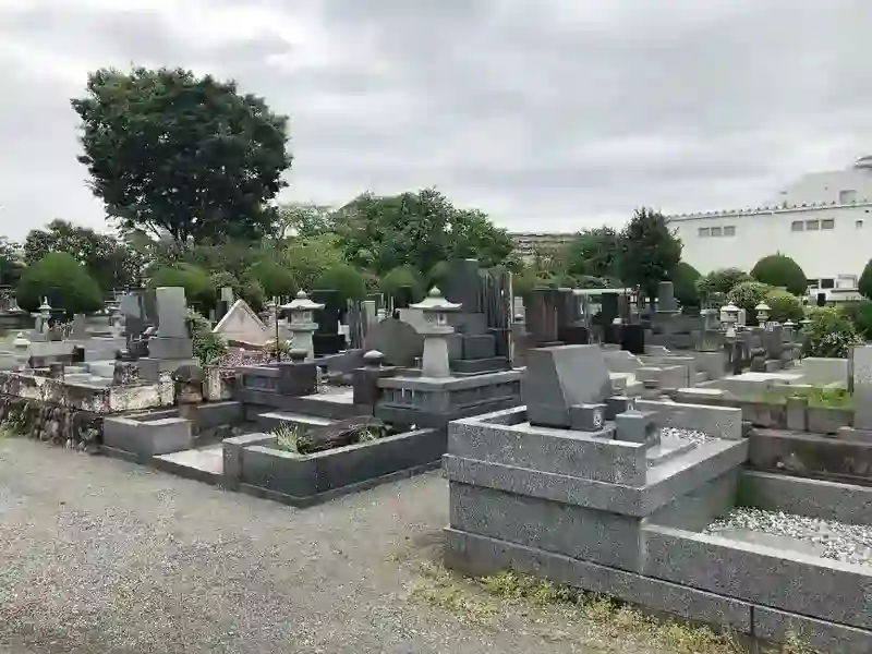墓域③