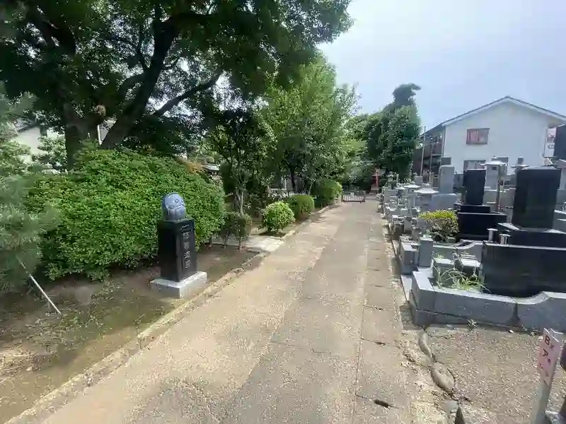 段差は少なく平坦な作り