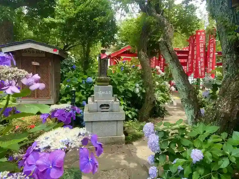紫陽花が彩ります
