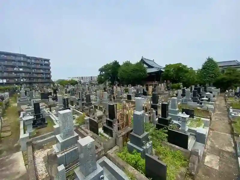 広々とした墓地