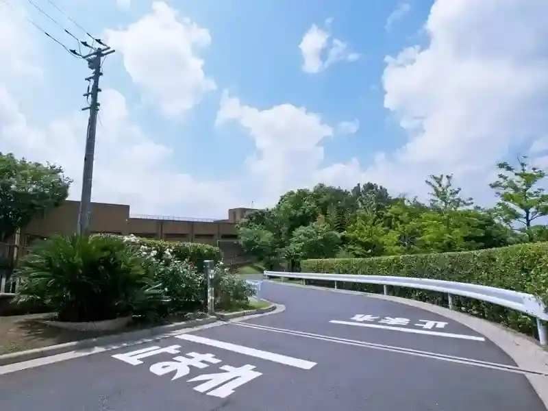 整備されたアプローチ