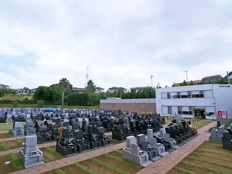 墓地全景
