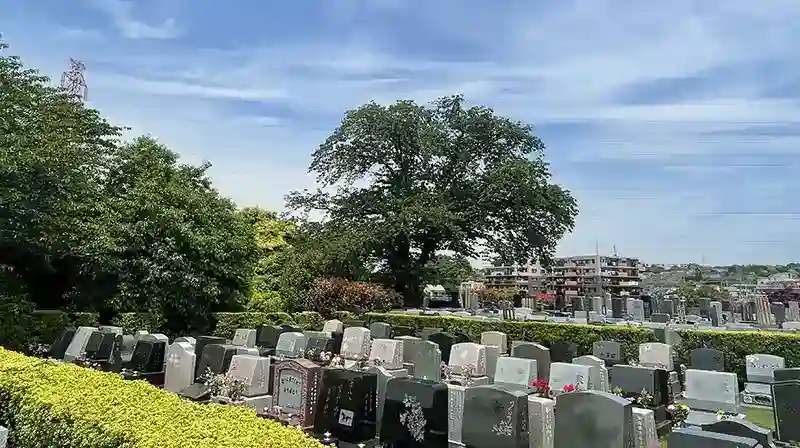 全体写真③