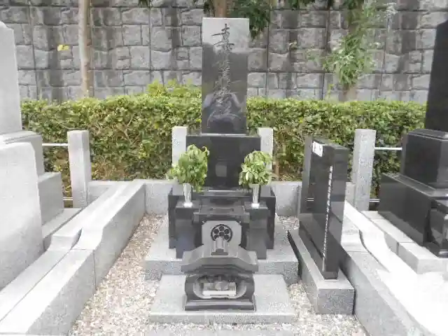 普通墓地