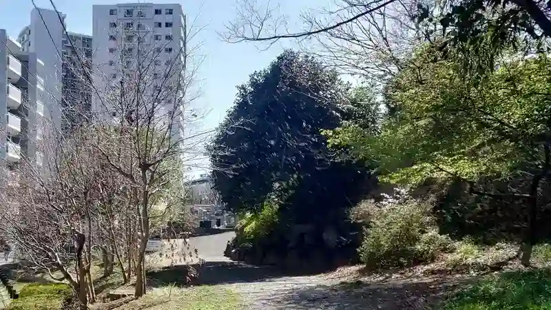 緑豊かな墓地