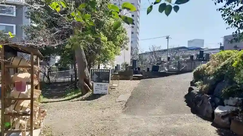 墓地