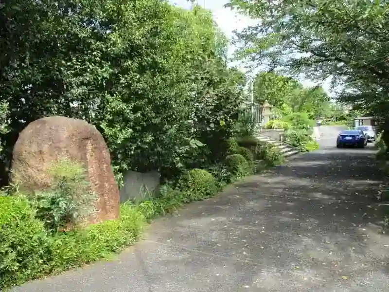 緑豊かな環境