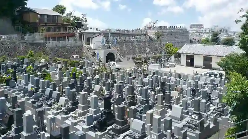 墓域