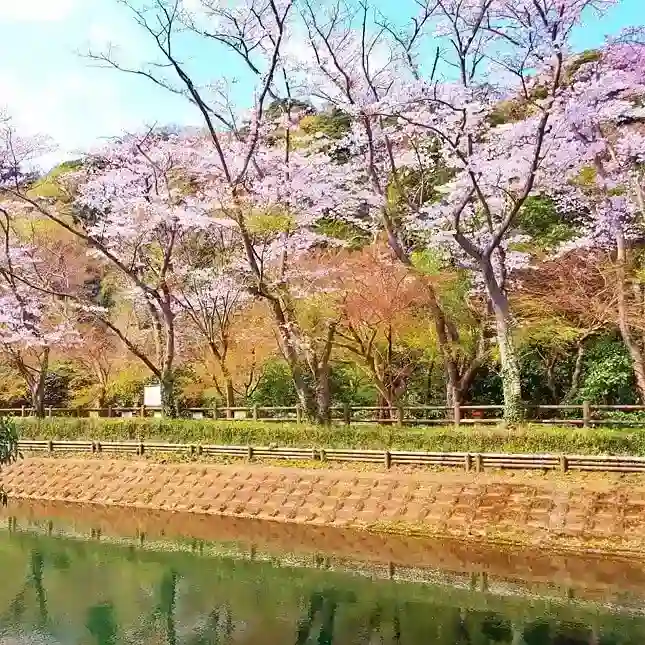 四季の花木が彩ります
