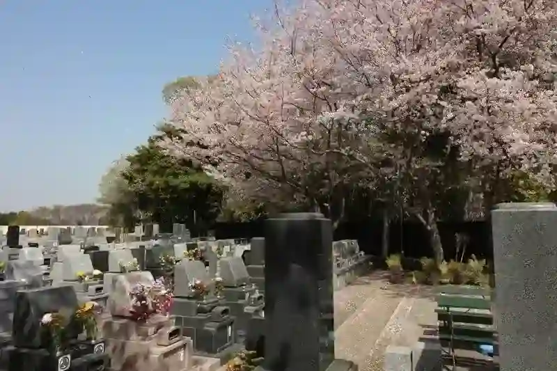 桜咲く霊園