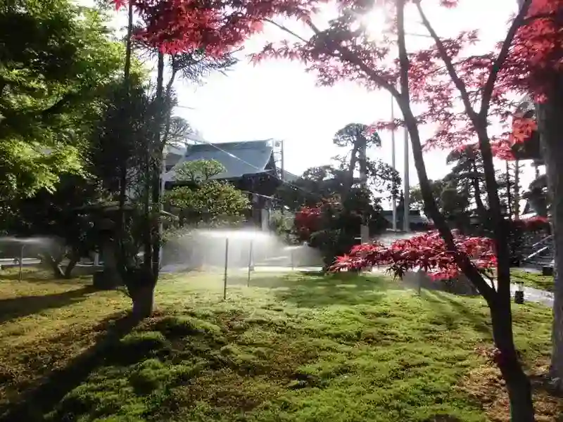 境内