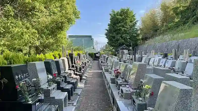 日当たり良好で緑豊かな園内