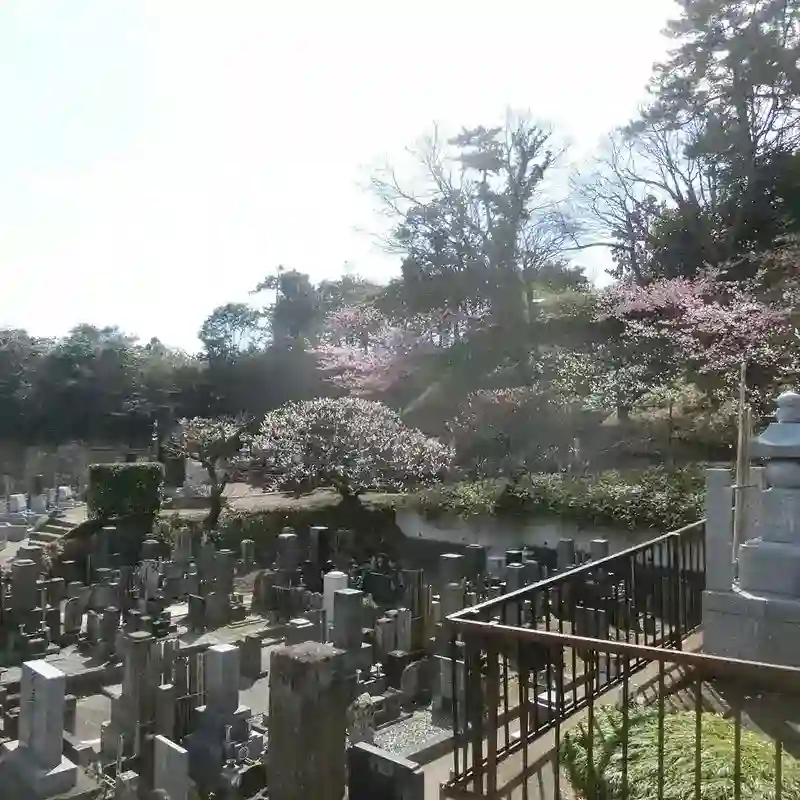 上から見た区画
