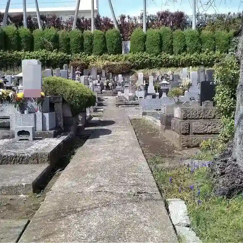 緑豊かな境内