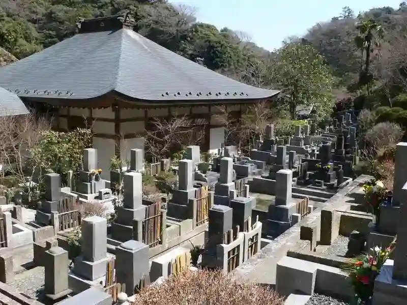 墓地全景