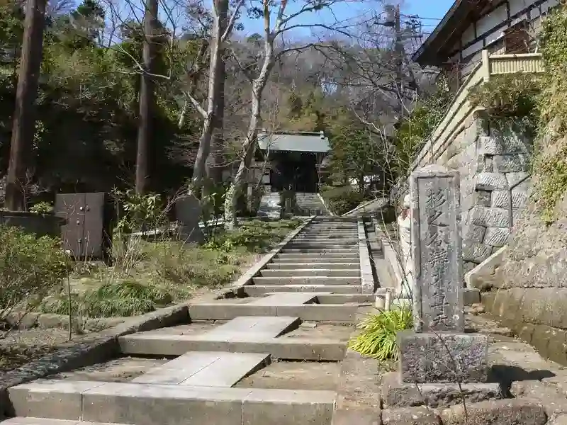 入口