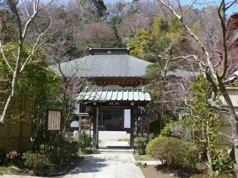 緑に囲まれている山門