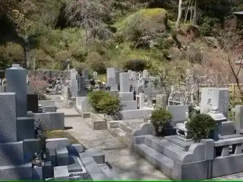 墓地②