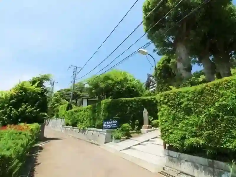 緑が綺麗に映える白雲庵の入り口