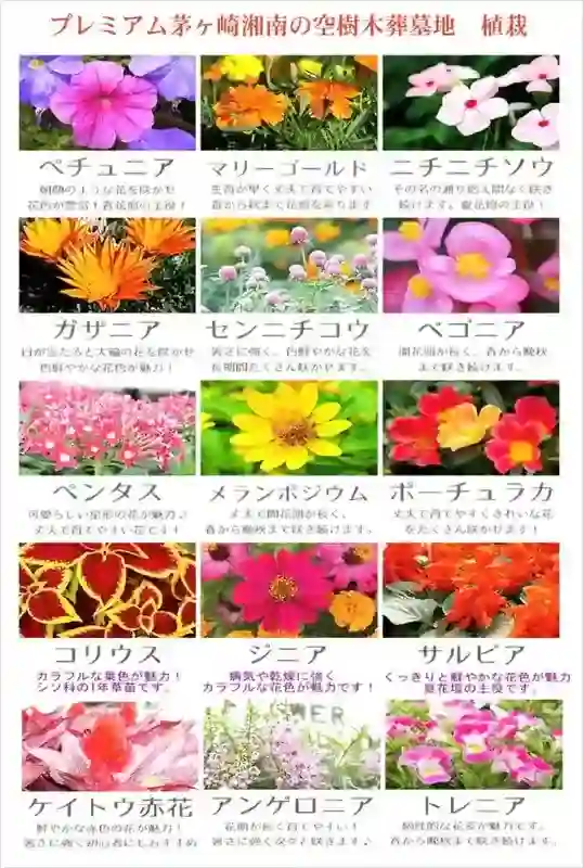 多くの種類の花木がお墓を彩ります