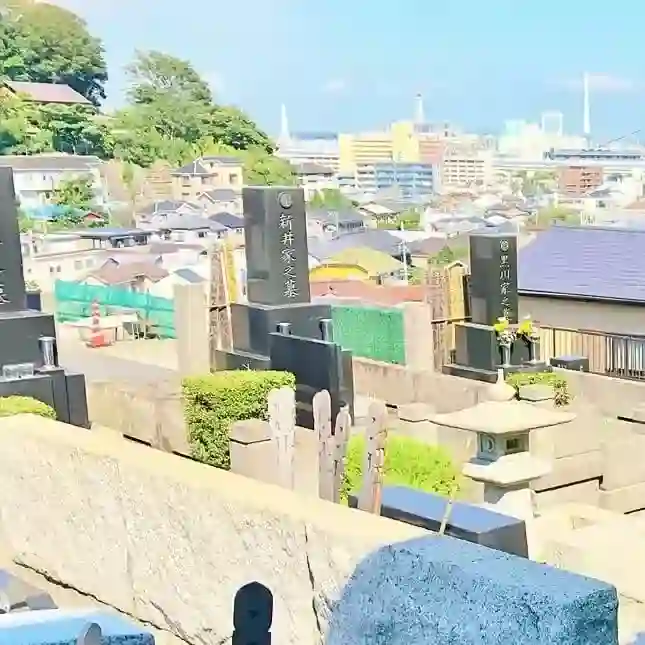 開放的な見晴らし