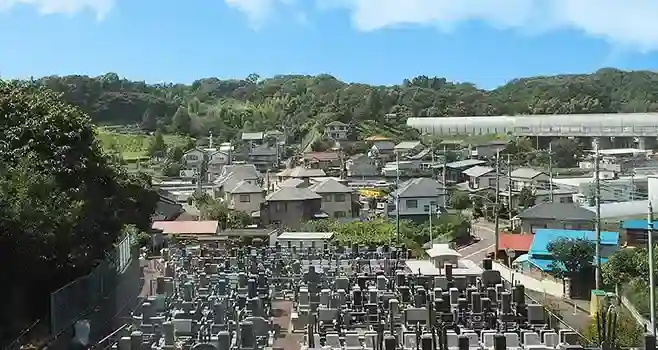 全景