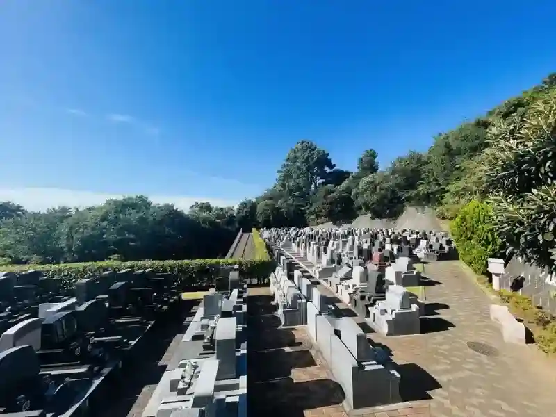 日当たり良好